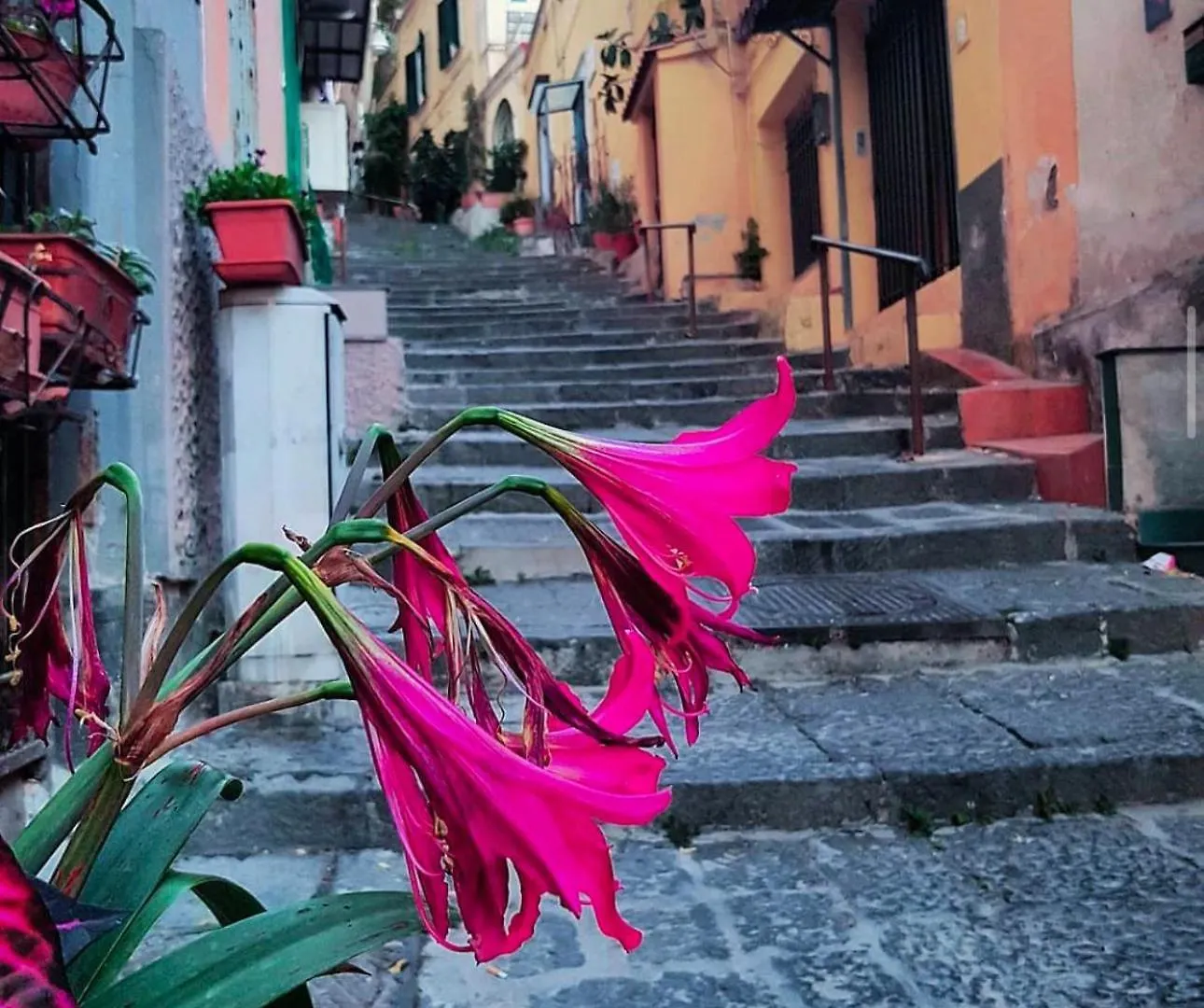 Bed and Breakfast Casa Dolce Casa Luxury Neapol 0*,